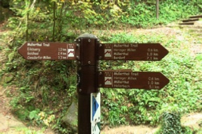 Signposts for the walking trails around Mullerthal.JPG